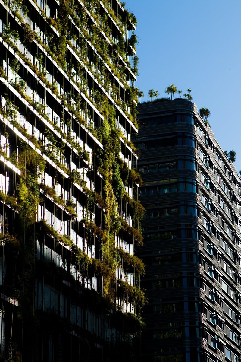 Rooftop Garden